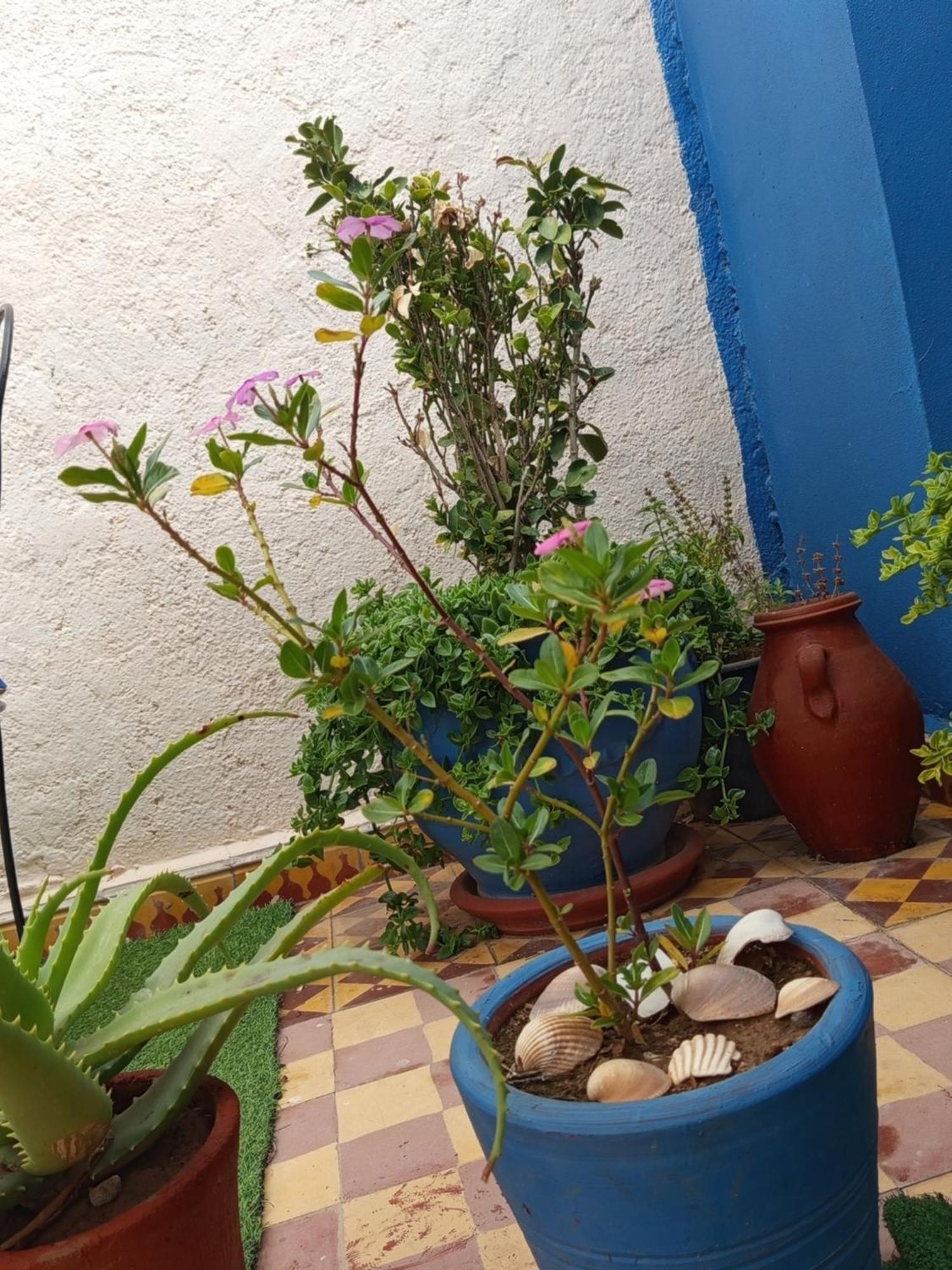 Accommodatie bij particulieren Derb El Aarsa Marrakesh
